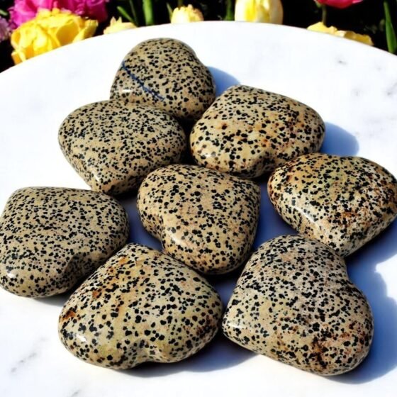 Set Of 10Pcs Dalmatian Jasper Crystal Heart Handmade Crystal Home Office Decor 2