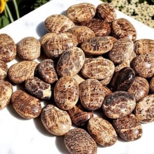 Set Of 10Pcs Aragonite Brilliant Crystal Palmstone Handmade Crystal Home Decor 1