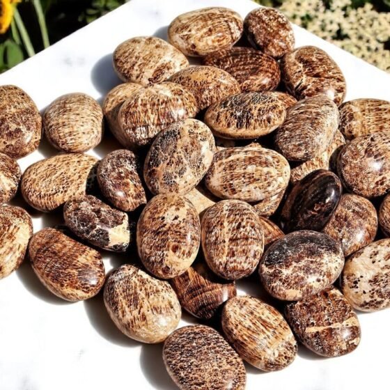 Set Of 10Pcs Aragonite Brilliant Crystal Palmstone Handmade Crystal Home Decor 1