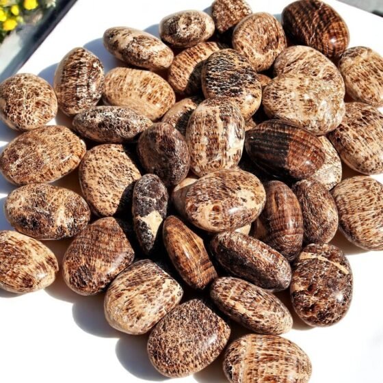 Set Of 10Pcs Aragonite Brilliant Crystal Palmstone Handmade Crystal Home Decor 2