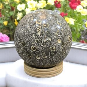 Large Fossiled Turritella Shell Crystal Sphere Handmade Crystal Home OfficeDecor 1