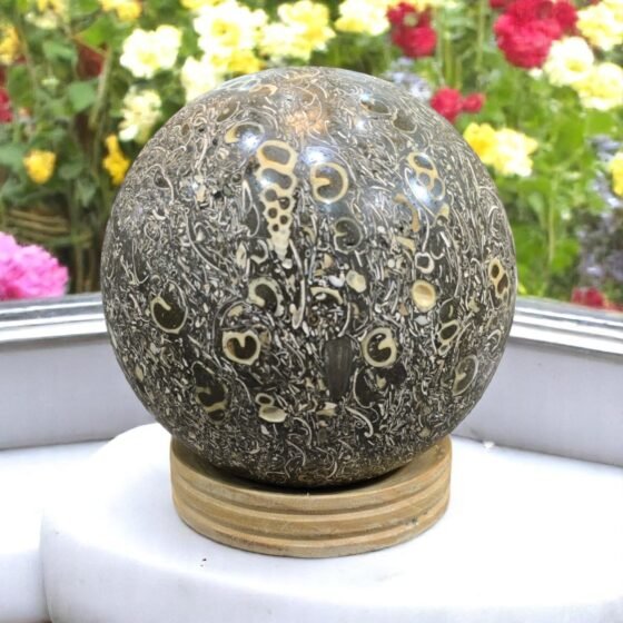Large Fossiled Turritella Shell Crystal Sphere Handmade Crystal Home OfficeDecor 1
