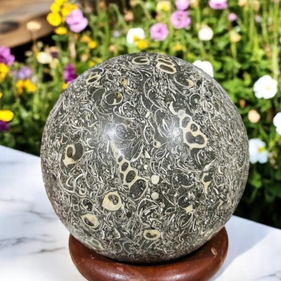 Large Fossiled Turritella Shell Crystal Sphere Handmade Crystal Home OfficeDecor 2