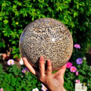 Massive 190MM Dalmatian Jasper Sphere - Healing Crystal Chakra Energy Ball 2