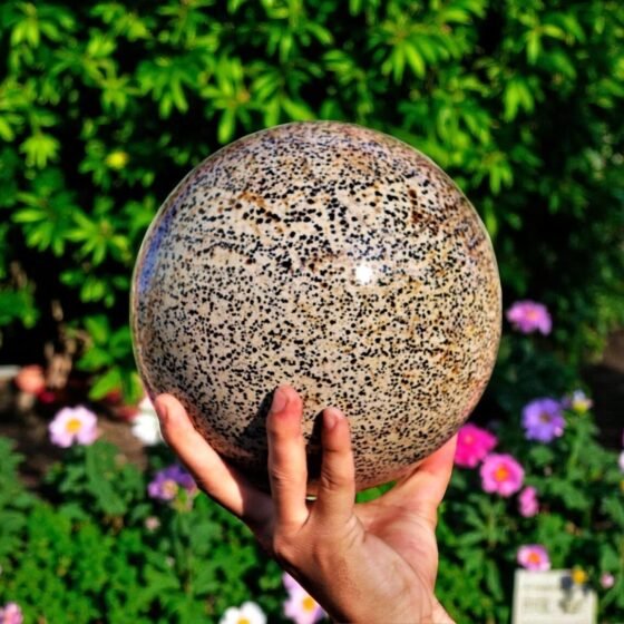 Massive 190MM Dalmatian Jasper Sphere - Healing Crystal Chakra Energy Ball 2