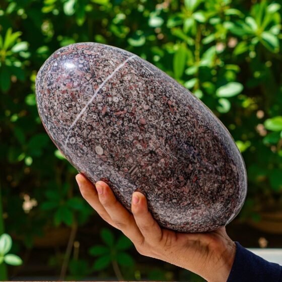 GIANT 235MM Turritella Agate Lingam - Healing Reiki Chakra Spirit Stone 1