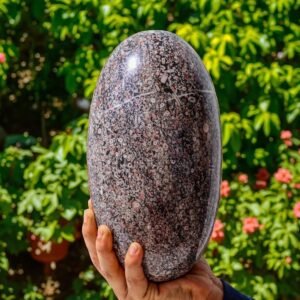GIANT 235MM Turritella Agate Lingam - Healing Reiki Chakra Spirit Stone 2