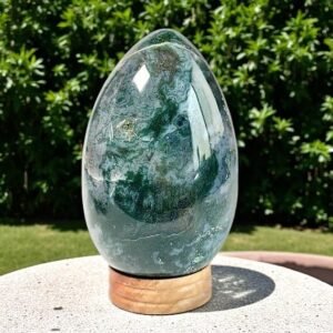 Druzy Moss Agate Egg Carving - HUGE 1.1kg - Wealth & Business Growth Crystal 2