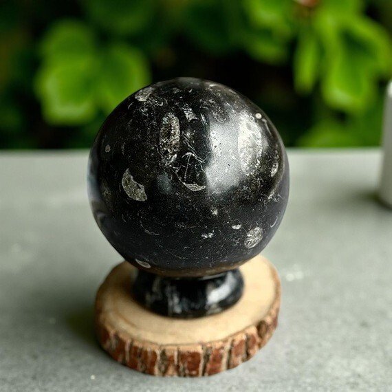 1 KG Orthoceras Fossil Sphere- Telepathy, Grounding & Transformation Stone 1