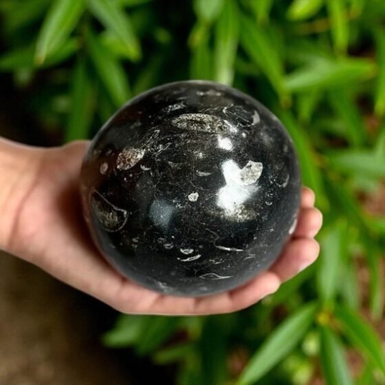 1 KG Orthoceras Fossil Sphere- Telepathy, Grounding & Transformation Stone 2