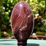 HUGE 235mm Petrified Wood Lingam | Healing Metaphysical Spirit Stone Aura Chakra 1