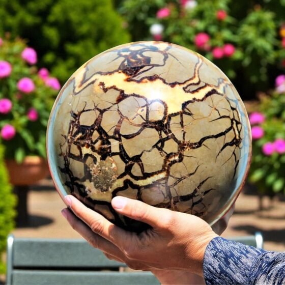 235mm Yellow Septarian Sphere | Balancing Energy Boosting Meditation Home Decor 2