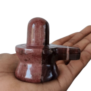Narmada Polished Shiva Lingam Jaladhari Narmadeshwar Stone for Home Temple Pooja 2