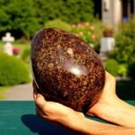 200MM Huge Natural Fossil Coral Jasper Crystal Egg Healing Power Aura Chakra 1