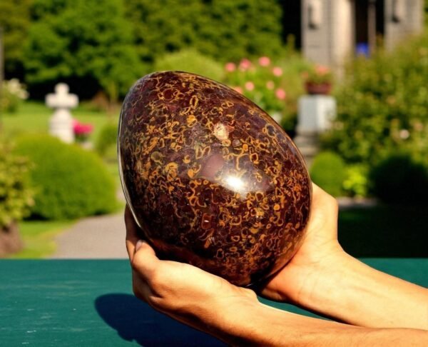 200MM Huge Natural Fossil Coral Jasper Crystal Egg Healing Power Aura Chakra 1