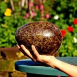 200MM Huge Natural Fossil Coral Jasper Crystal Egg Healing Power Aura Chakra 2