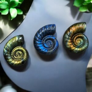 Beautiful Labradorite Carved Ammonite Fossil - Flashy Rainbow Gemstone Decor 2
