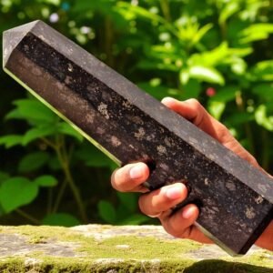 Black Nuummite Tower 265MM - Aura Protection & Grounding Home OfficeDecor Statue 1