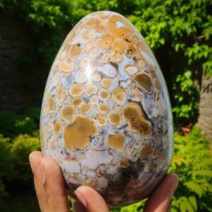 Large King Cobra Jasper Crystal Egg Healing Reiki Energy Stone Home Office Decor 1