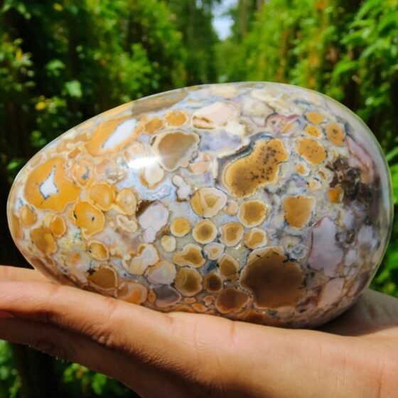 Large King Cobra Jasper Crystal Egg Healing Reiki Energy Stone Home Office Decor 2