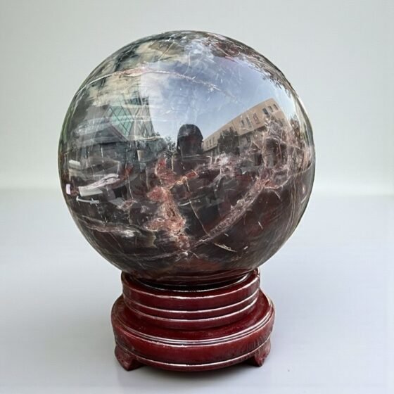 Large 185MM Petrified Wood Crystal Sphere Healing Crystal Ball For Home Decor 2
