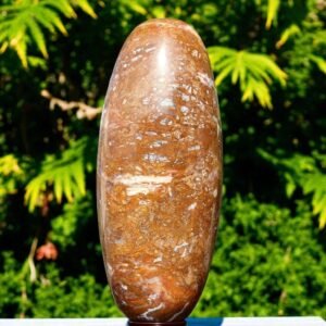 Large 320MM Yellow Petrified Wood Crystal Lingam Meditation Stone For Home Decor 2