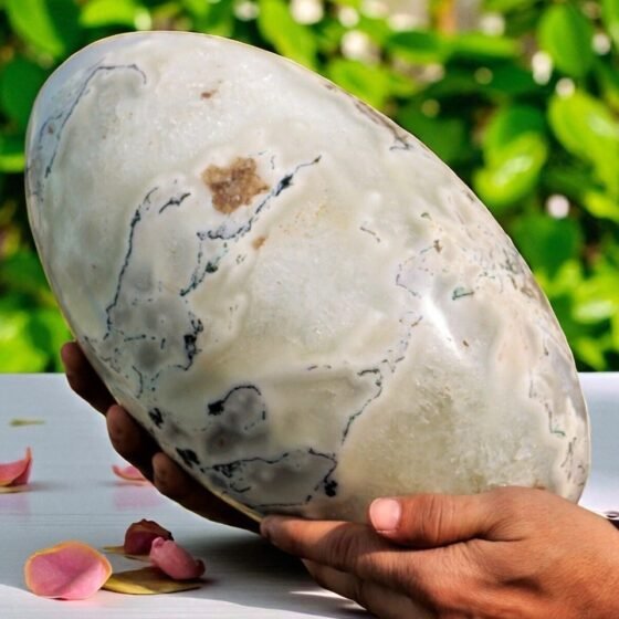 Large 285MM White Moss Agate Crystal Lingam Healing Crystal Home Office Decor 2