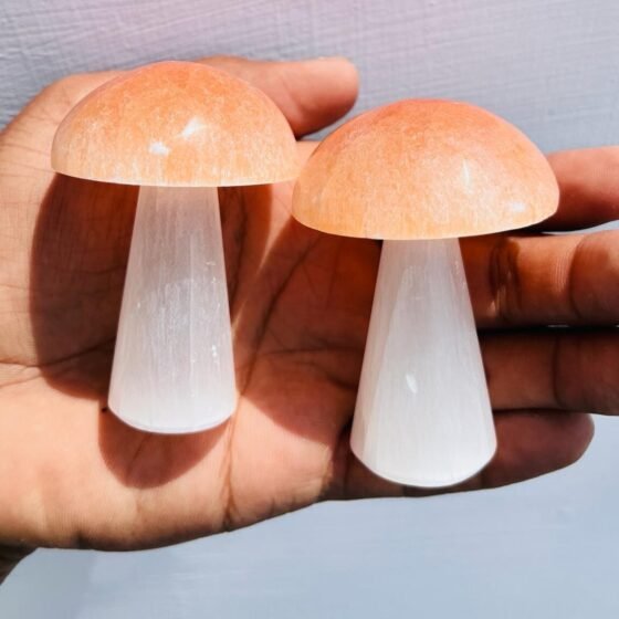 Beautiful Citrine Selenite Crystal Mushroom Hand Carved Crystal Home Decorative 1