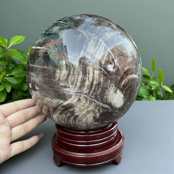 Large 185MM Petrified Wood Crystal Sphere Healing Crystal Ball For Home Decor - Main Photo
